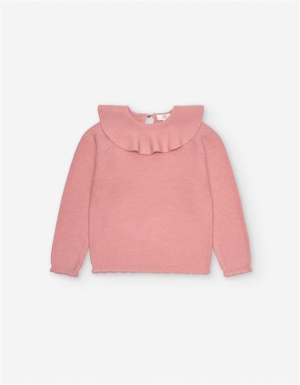 SUETER ROSA