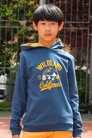 SUDADERA WILDLAND