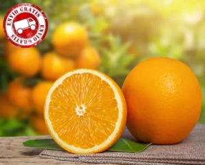 Naranja Navelina caja de 9 Kg.